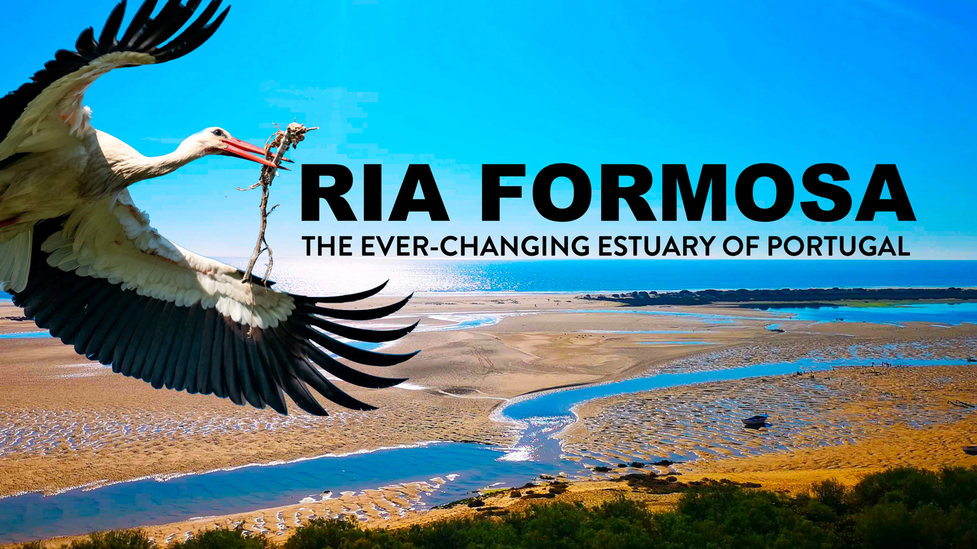 Ria Formosa: The Ever-Changing Estuary of Portugal poster